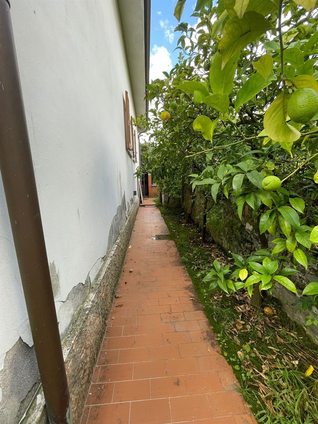 Casa indipendente in vendita in Via Duino