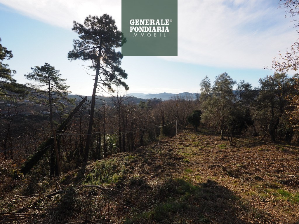 Terreno in vendita, Montedivalli